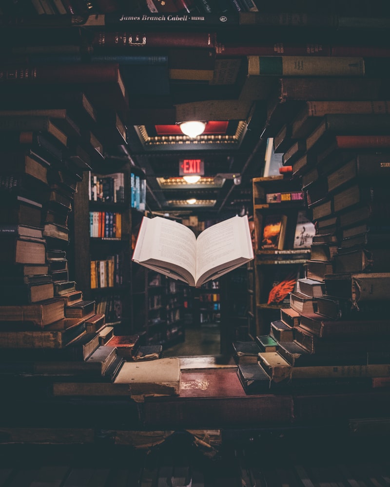 PIMMSAA Journal